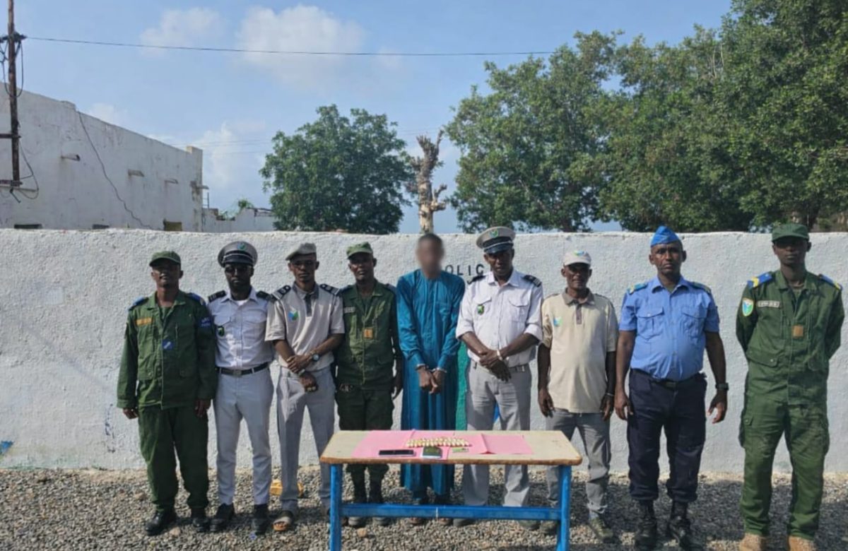 A Balho, les douaniers djiboutiens déjouent un passage de cocaïne